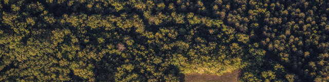 Campagna del Périgord