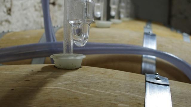 Grotta del vignoble di Bergerac