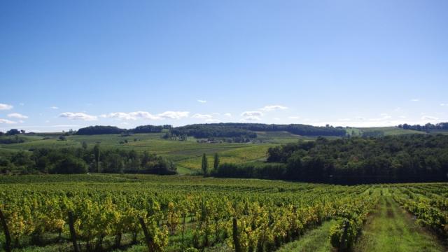 Bergerac e i suoi vini