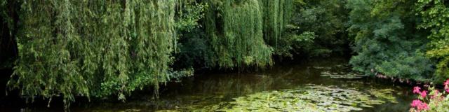 Brantôme e i suoi giardini