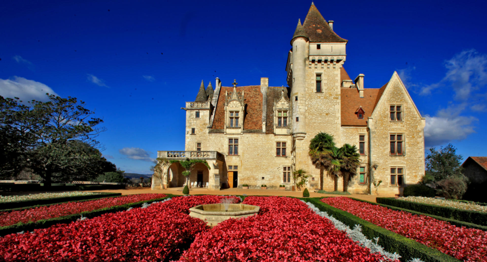 Dordogne Chateaux