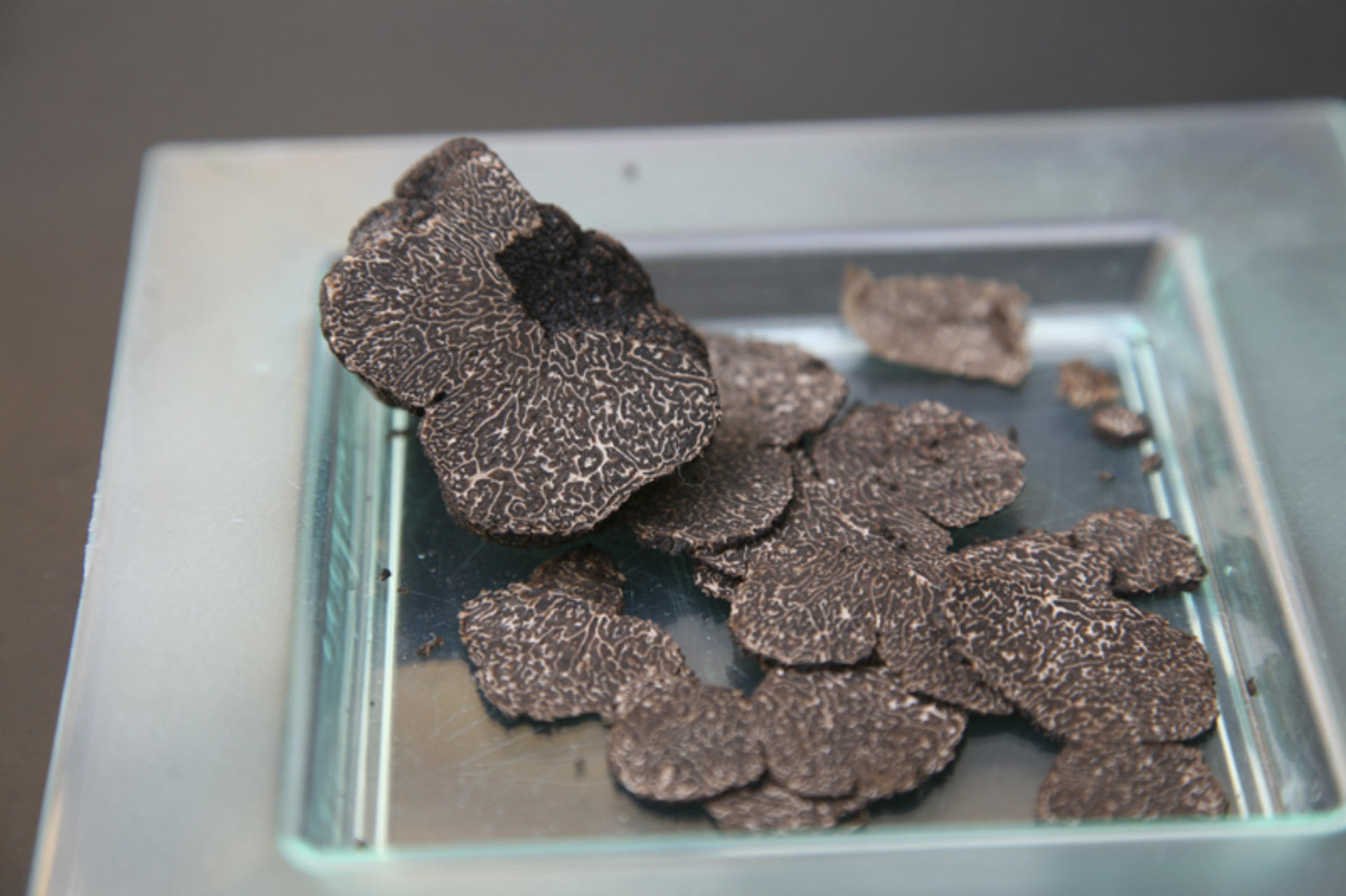 la-truffe-2-1920x1279.jpg