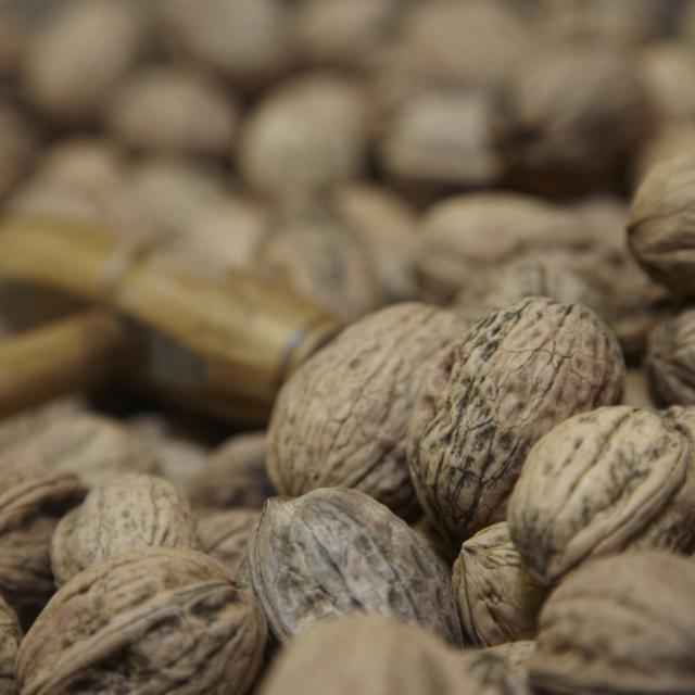 Noix Du Perigord 2