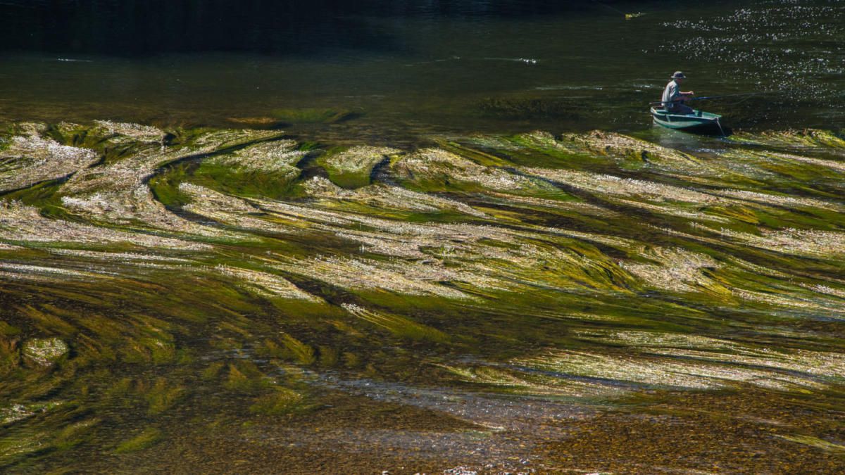 peche truite sarlat