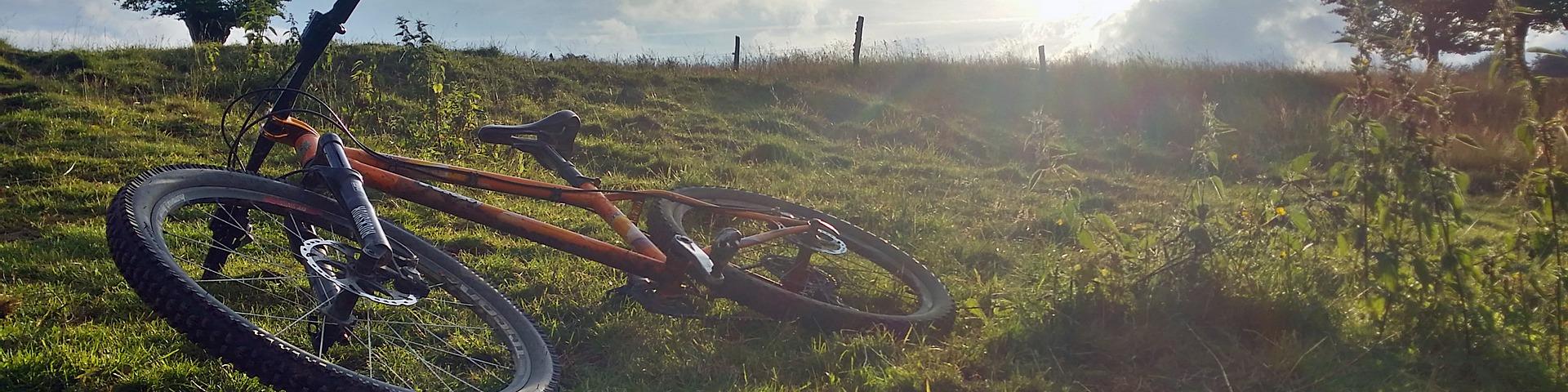 Mountain bike in Dordogna - Sarlat Périgord Noir