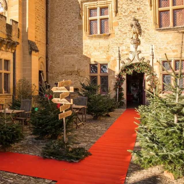 Château de Puymartin